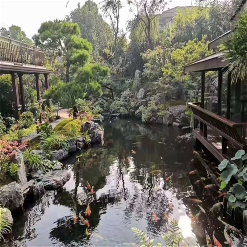 苏州庭院假山鱼池样式
